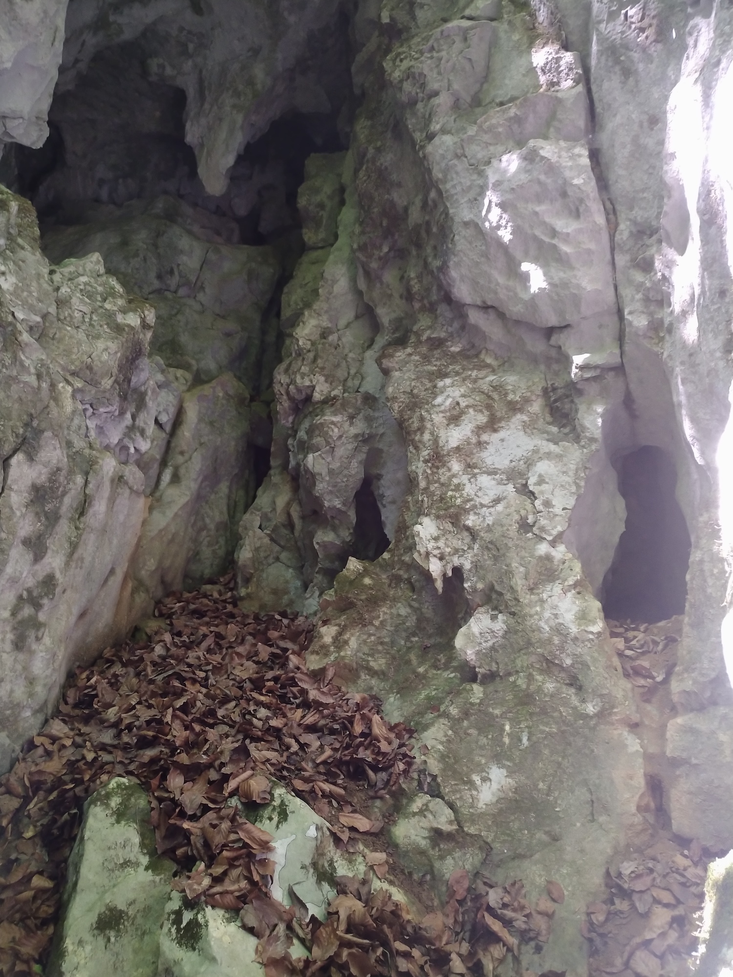 Peştera nr. 13 din Valea Comarnicului - Image 1